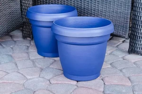 تصویر 3 از قیمت خرید گلدان پلاستیکی گلخانه ای + فروش ویژه